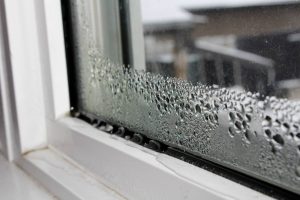 Humidité dans la maison : traiter la cause, pas les symptômes